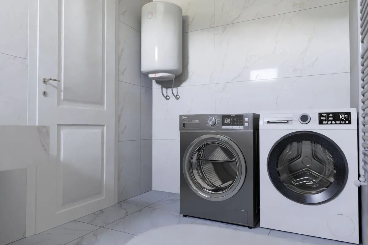 Bird & Bat Guano Cleanup in Castle Rock, WA
